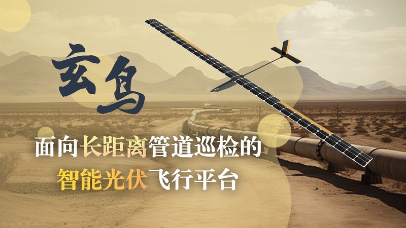 玄鸟无人机
